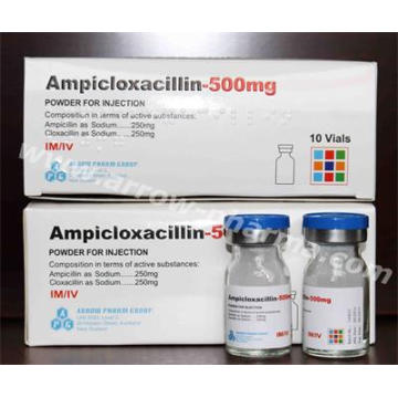 Ampicloxaxilina para Injecção 500mg
